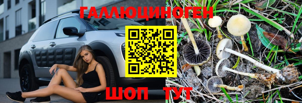 Галлюциногенные грибы MAGIC MUSHROOMS Солнечногорск