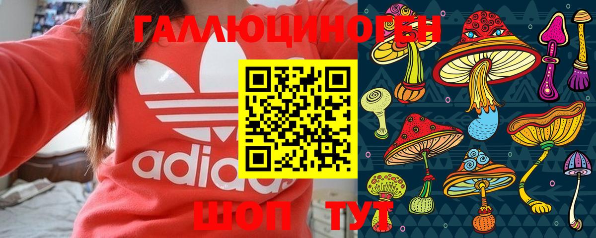 Солнечногорск  Псилоцибиновые грибы Psilocybine cubensis  Вход с VPN  Галлюциногенные грибы прущие грибы 